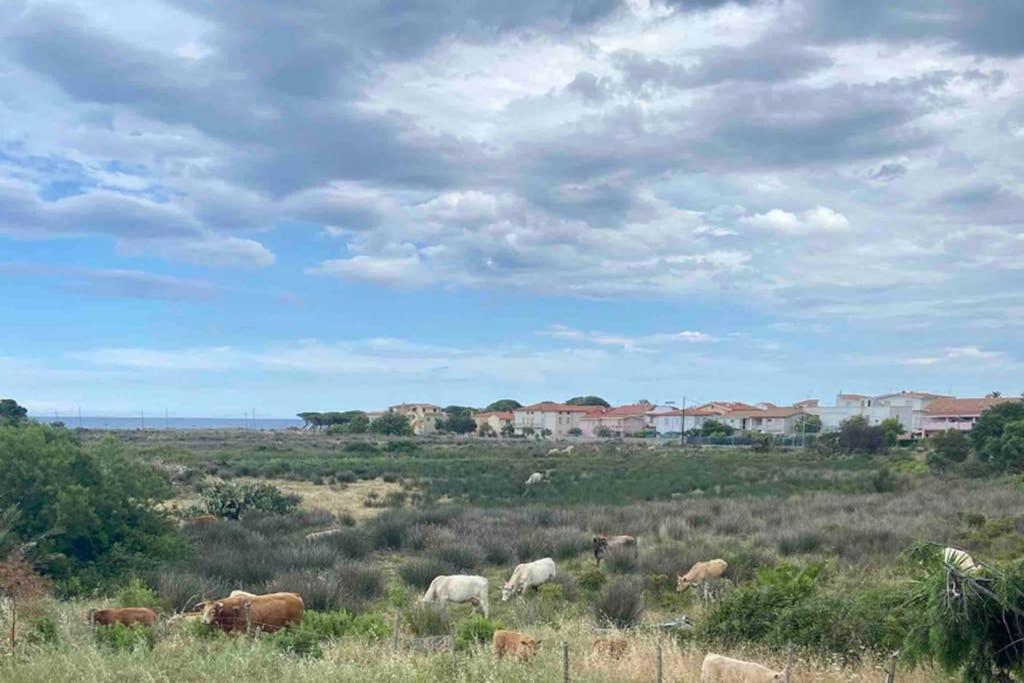 Trilocale Vista Mare *